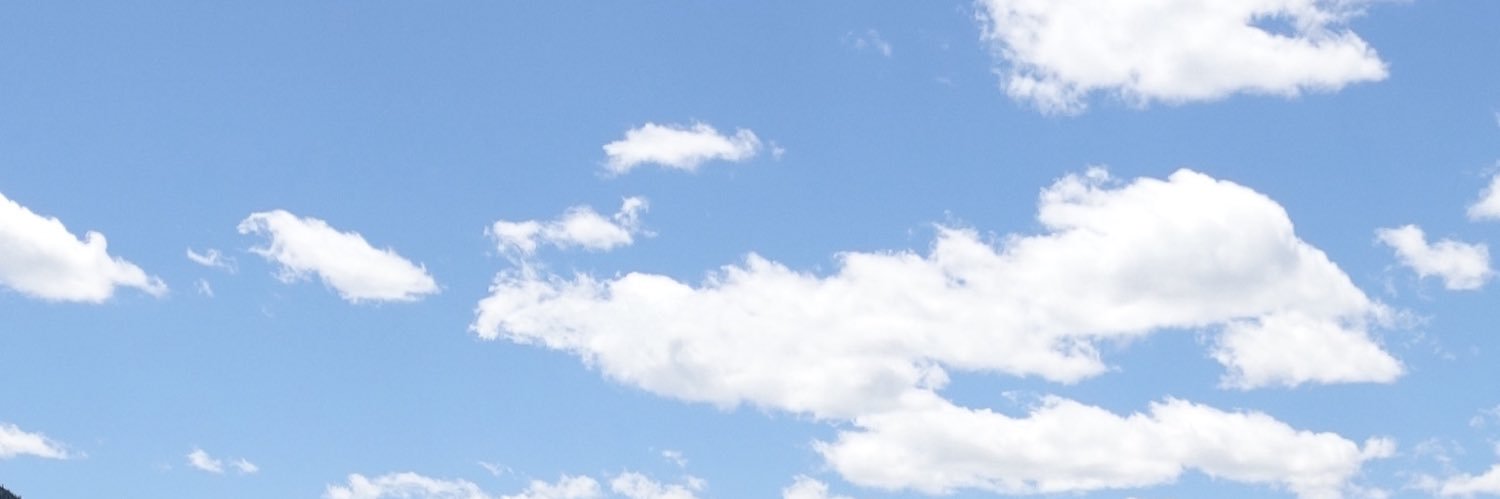 mirbuss's profile banner image