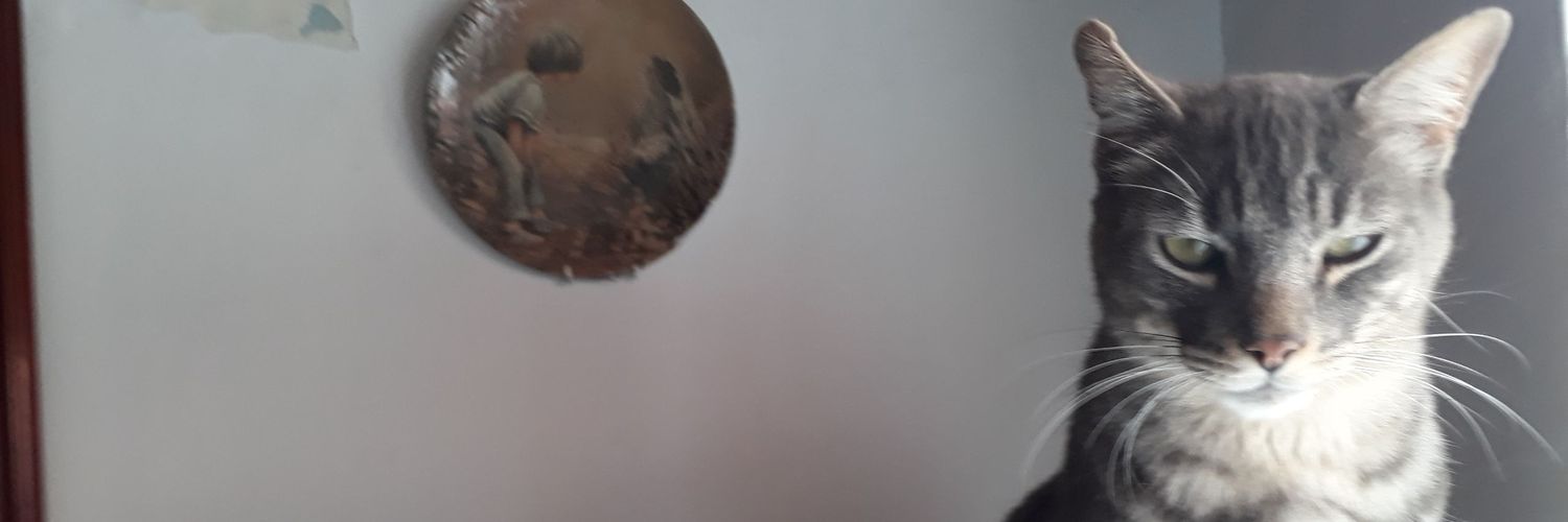 David_Rame's profile banner image