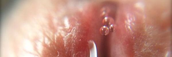 blacksoulY20's profile banner image