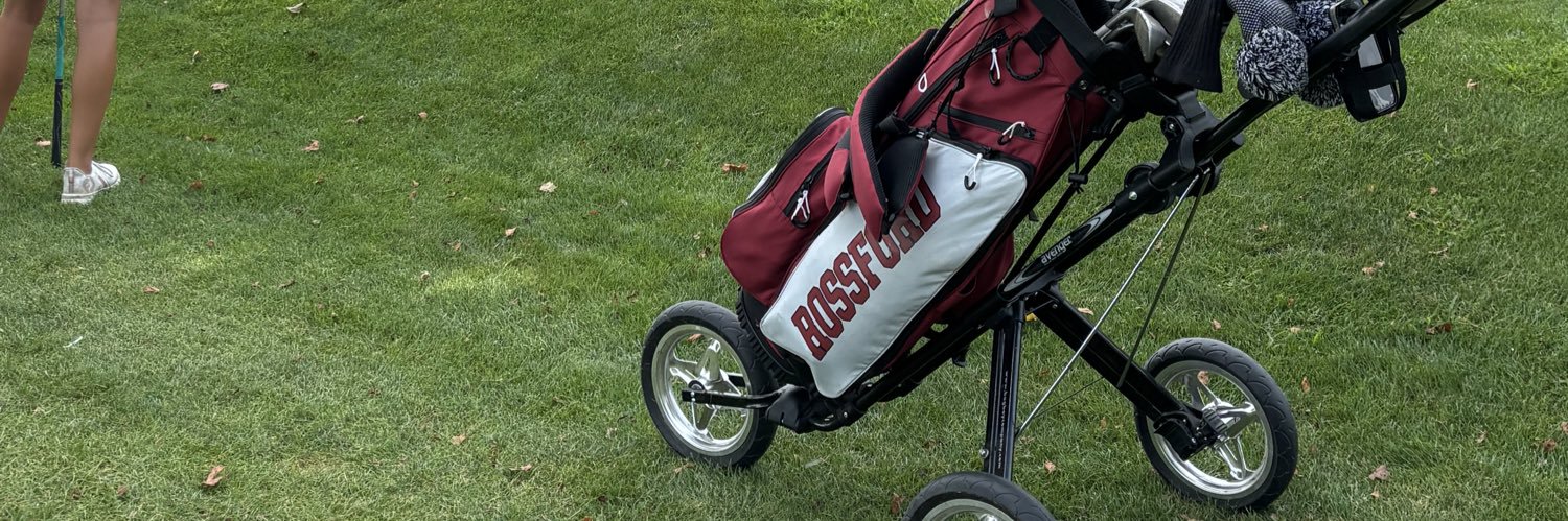 RHS Girl's Golf banner