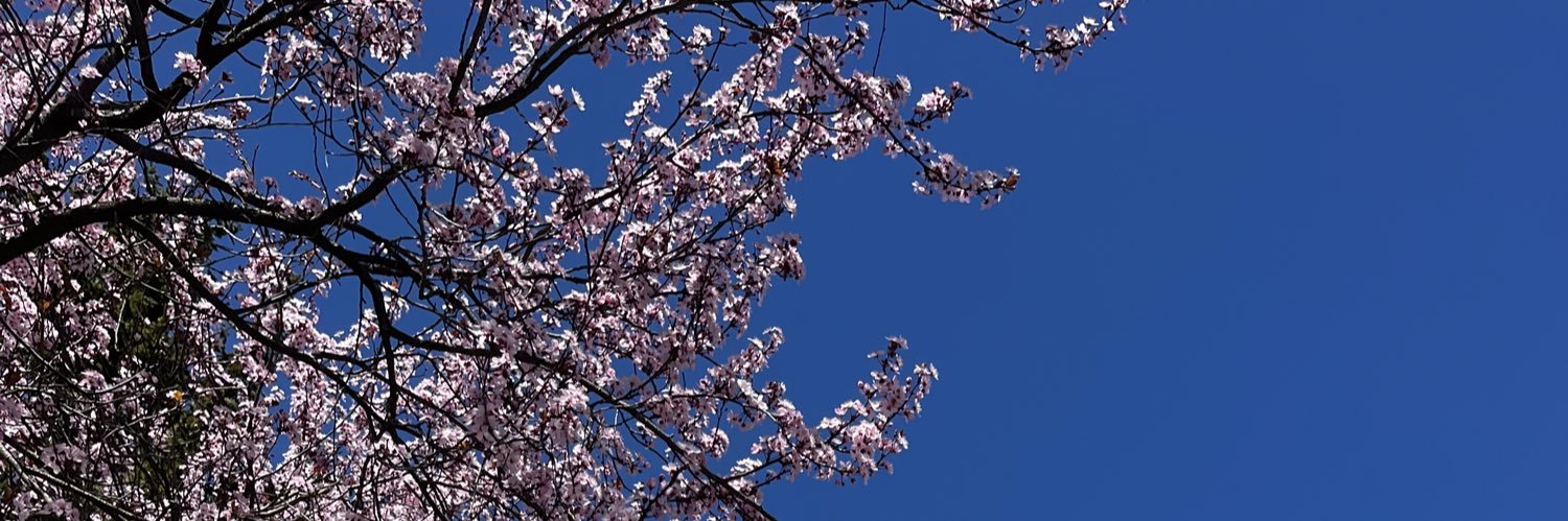 artuohy's profile banner image
