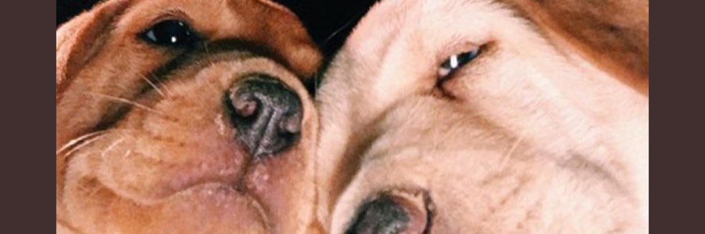 ErinOhagan's profile banner image