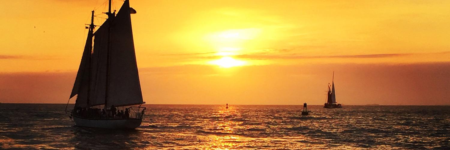 Wakawalker2's profile banner image
