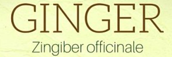 regnigingere's profile banner image