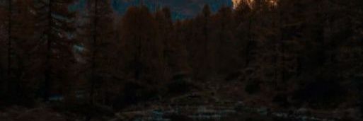 lupriori's profile banner image