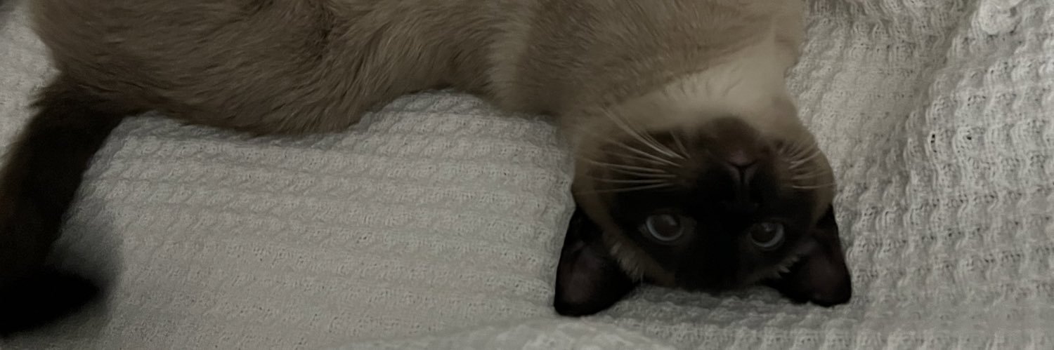 Leah_Griff's profile banner image