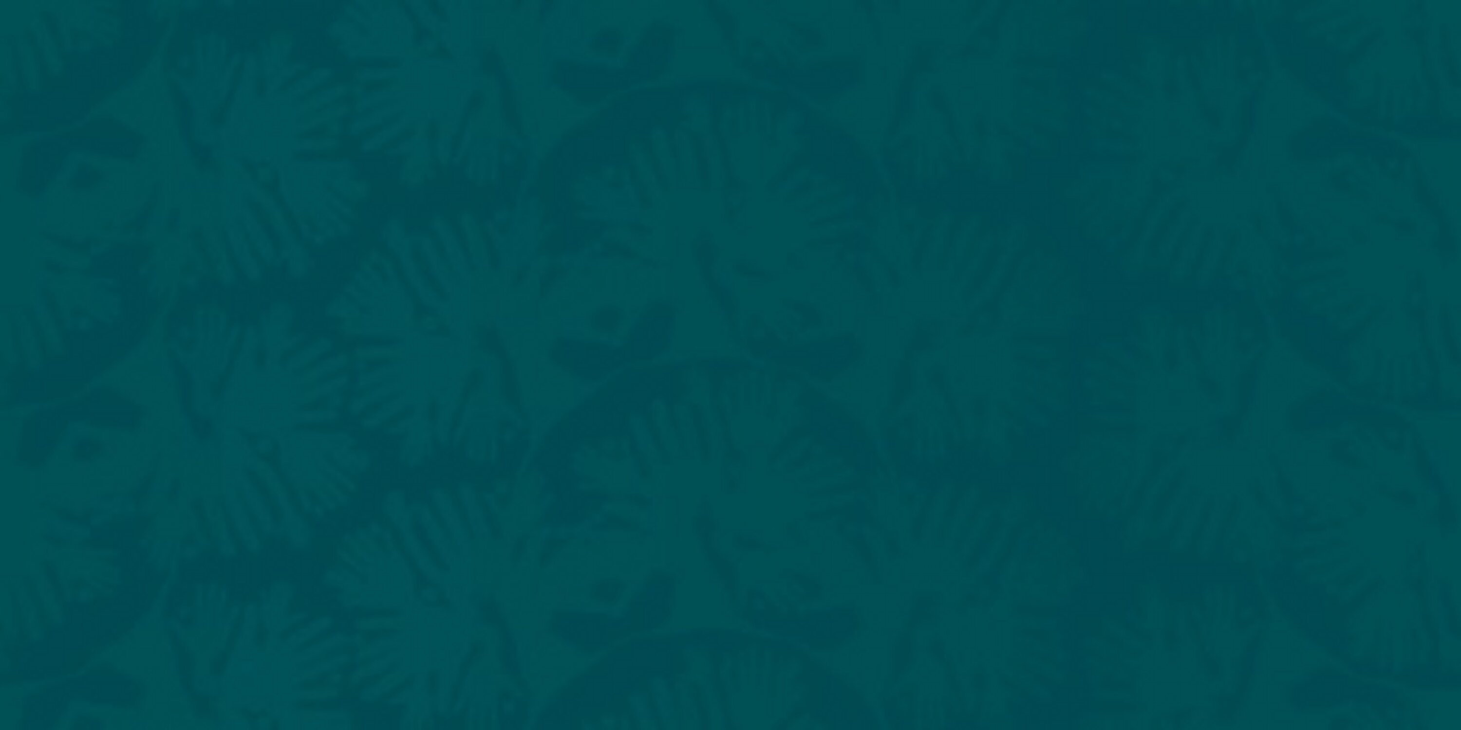 HumanCoral's profile banner image