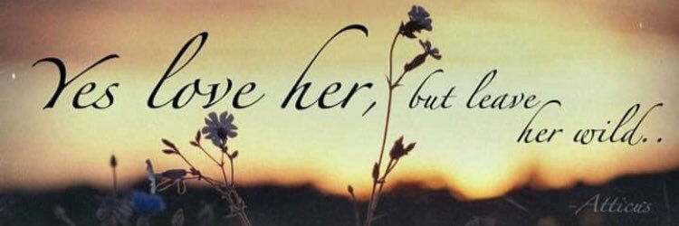 BayDre23's profile banner image