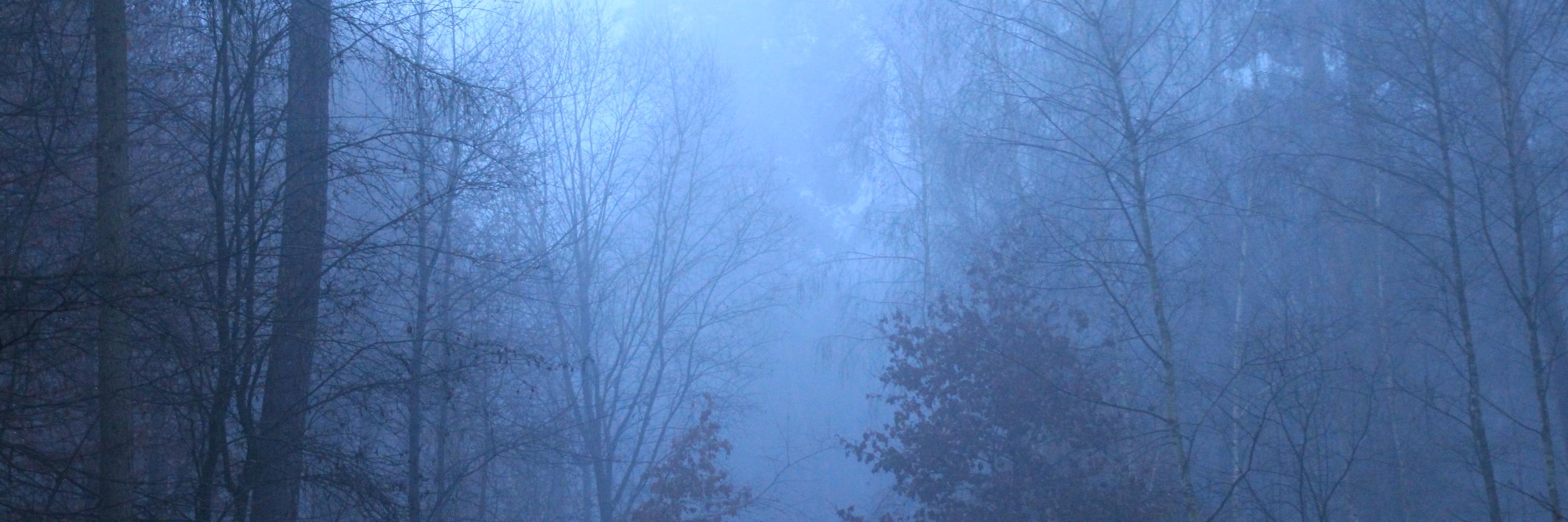 Nerdzumi's profile banner image