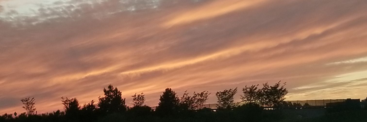 debbiehicks423's profile banner image