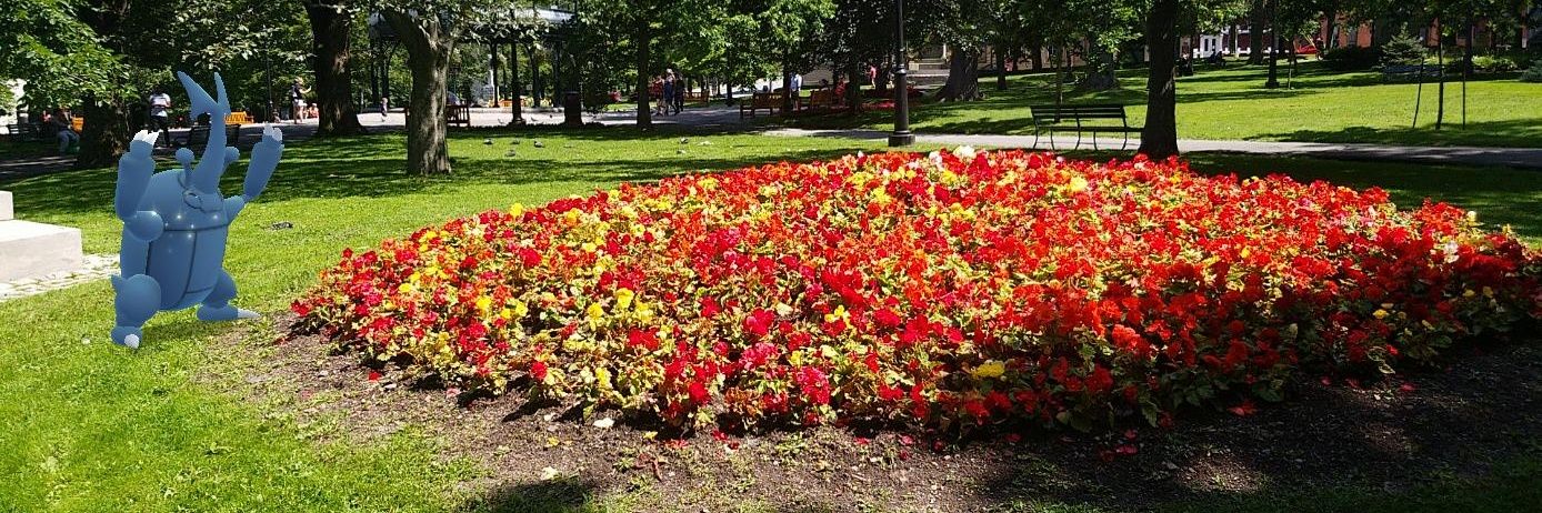 Professor Chas banner