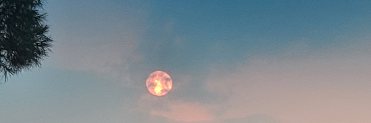 Dlebar1's profile banner image
