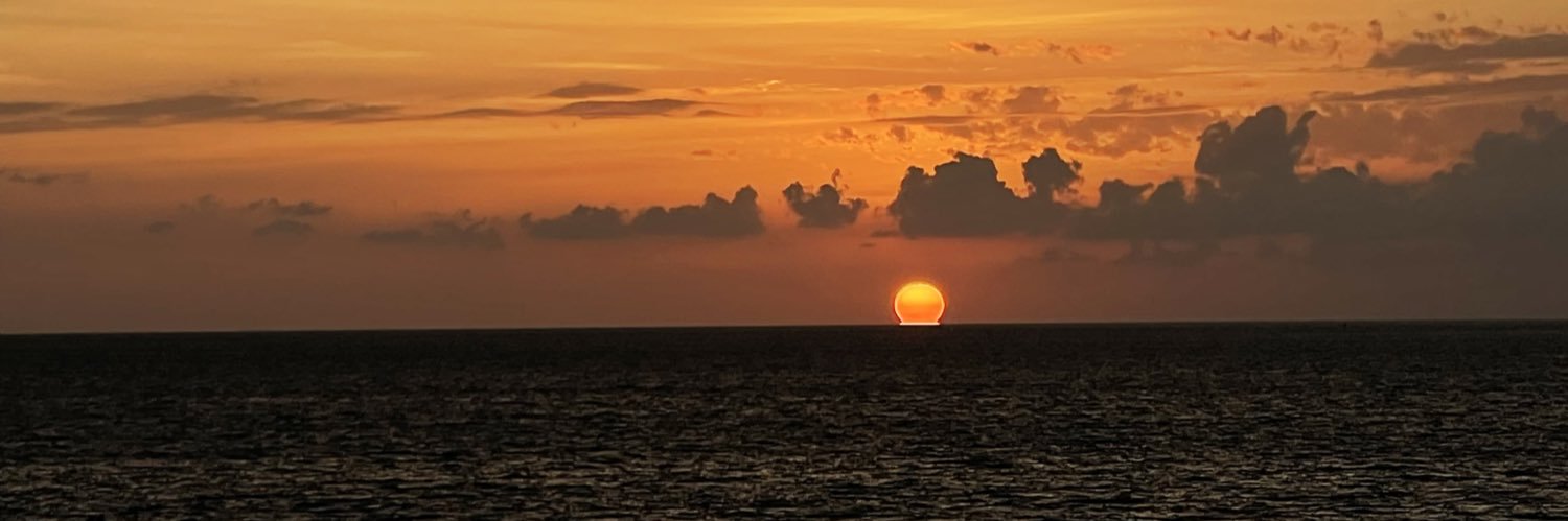 elenaisdop3's profile banner image