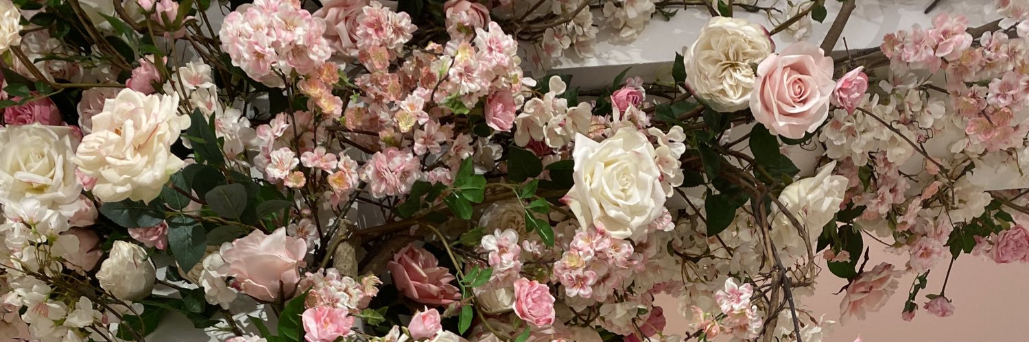 ChloeChipkin's profile banner image