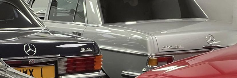 saucalini's profile banner image