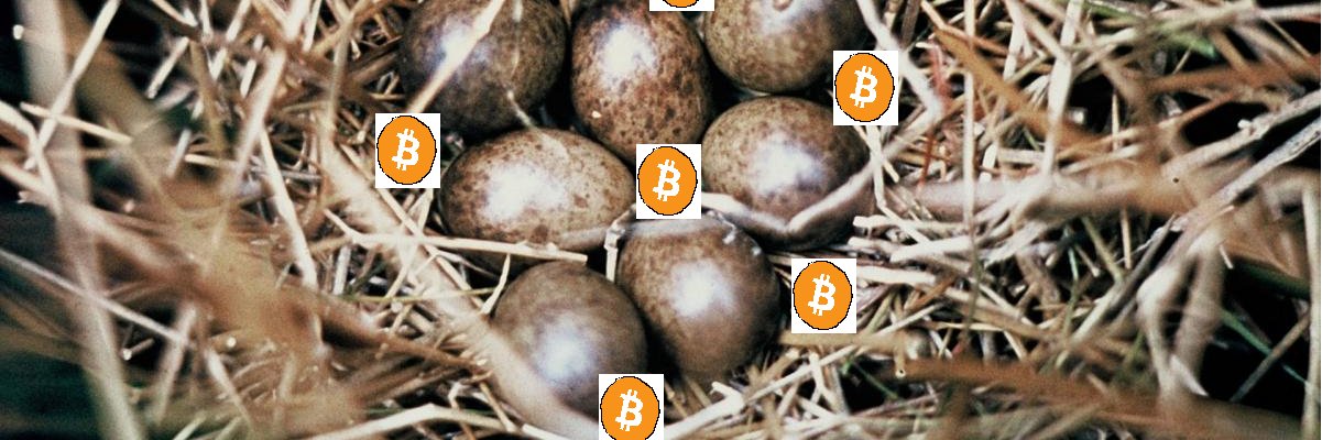Crake250's profile banner image