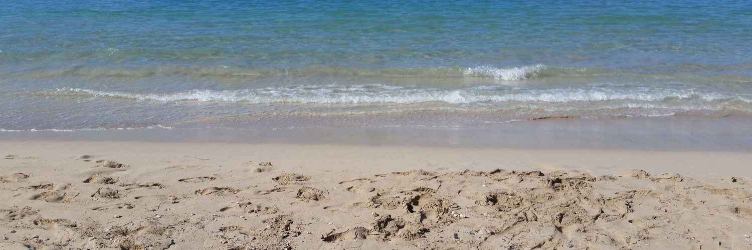 Amygonz8's profile banner image