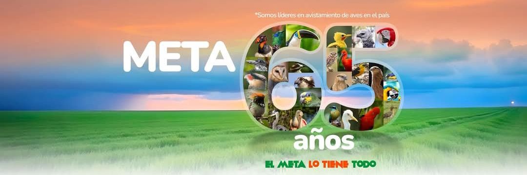 64651ecefa1c4fe's profile banner image