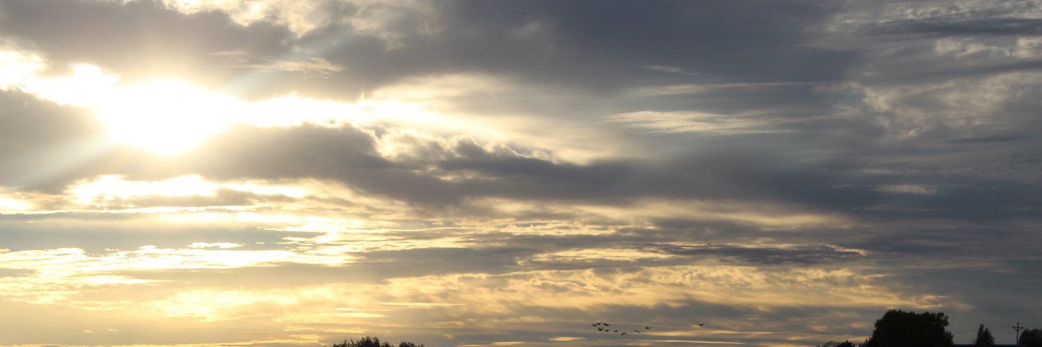 Luke_Decker_'s profile banner image