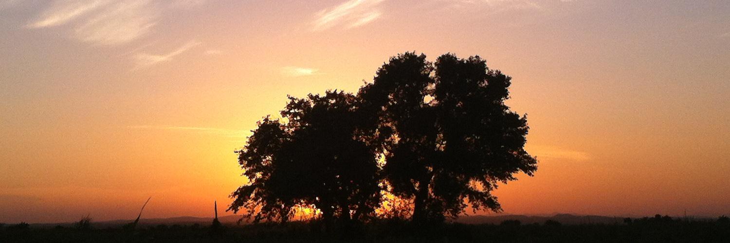 karinmartinezc's profile banner image