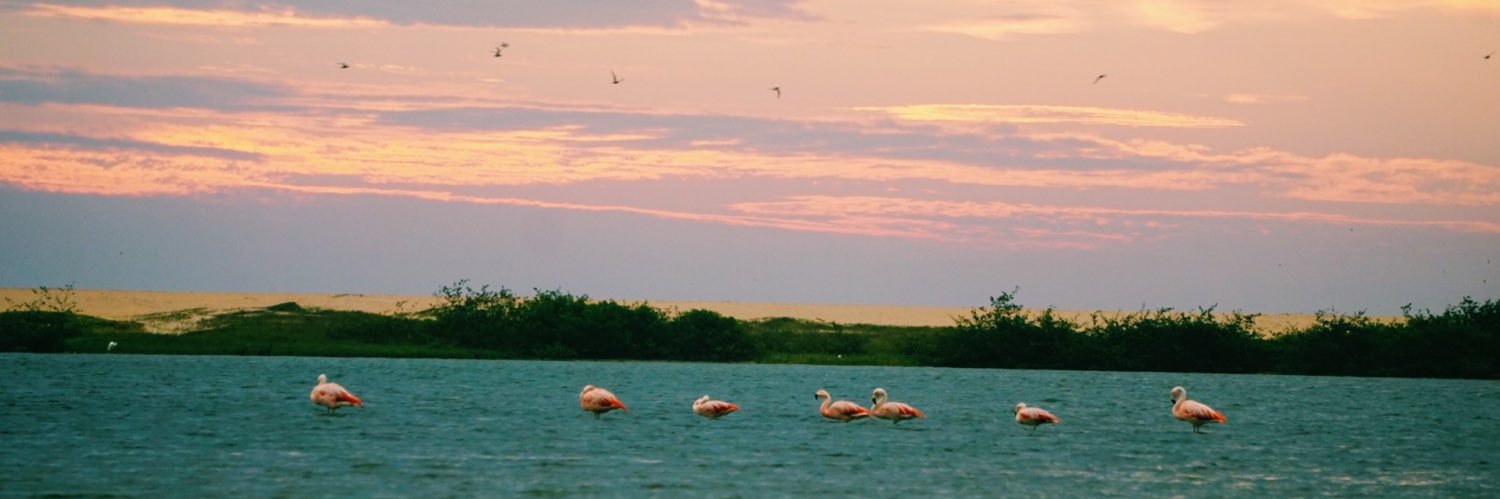 cturkowsky's profile banner image