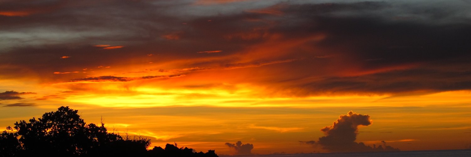 sukhisinghusa's profile banner image