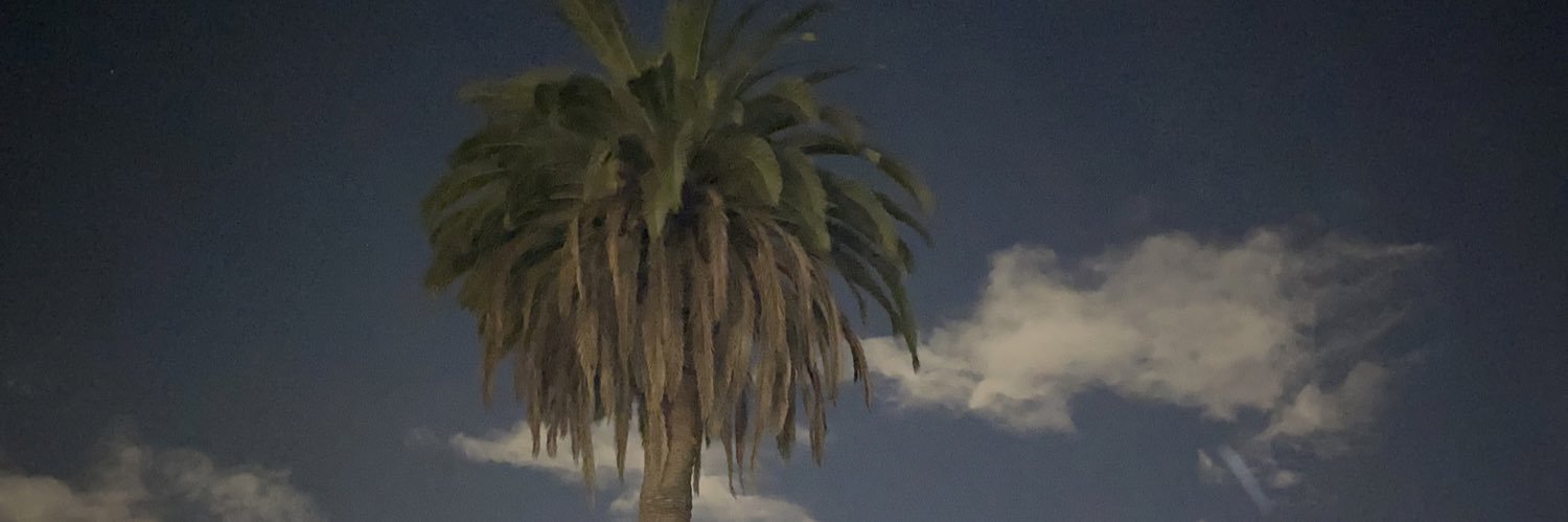 MarlynBarr's profile banner image