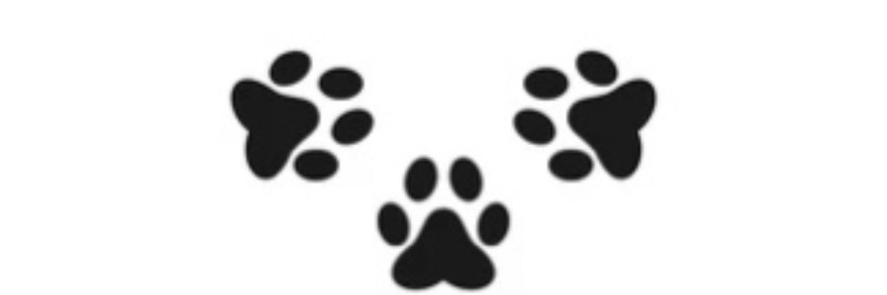 haileyewills's profile banner image