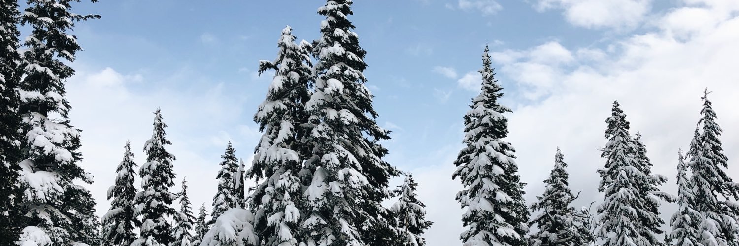 yoal_'s profile banner image