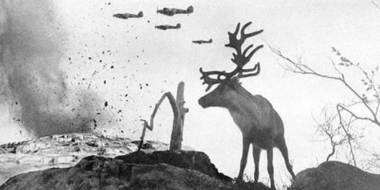 kstorm19's profile banner image