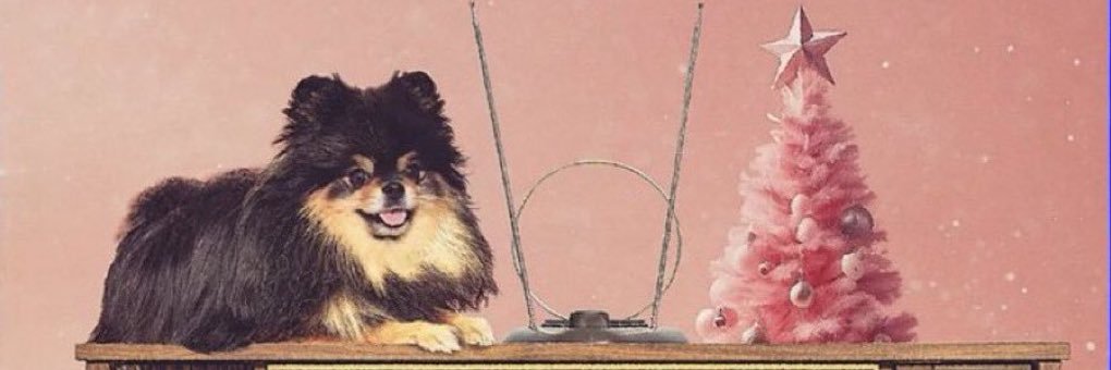 𝕊𝕠𝕝𝕠 𝕍 💫 banner