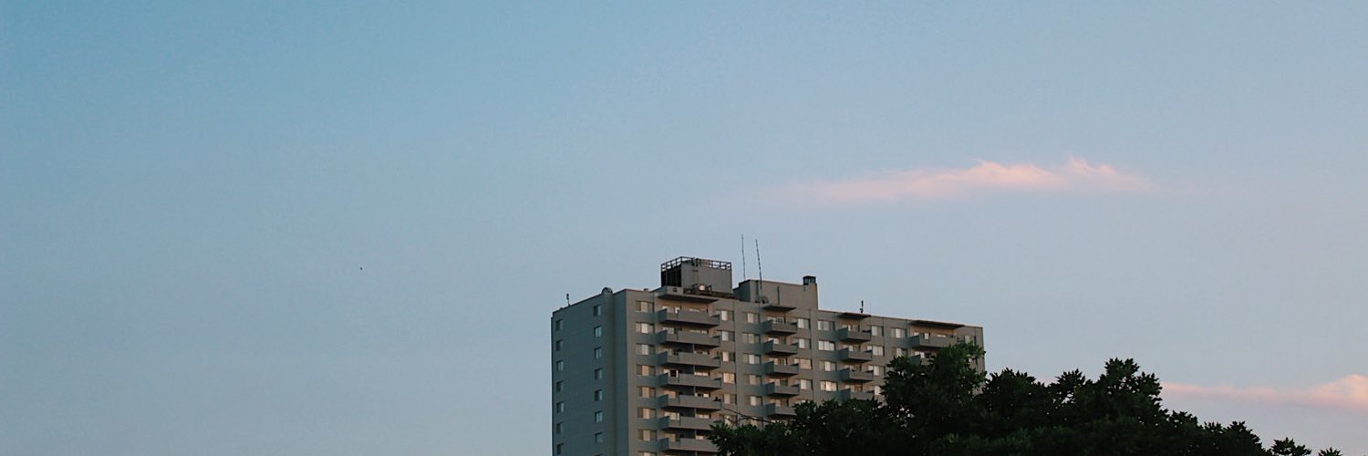 lisa profile banner