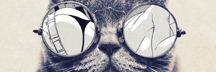 SilveristefStef's profile banner image