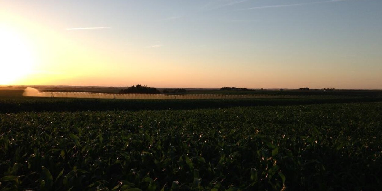 lhillyer's profile banner image