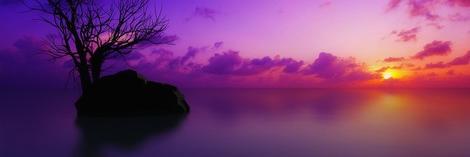 Diedra Oconner banner