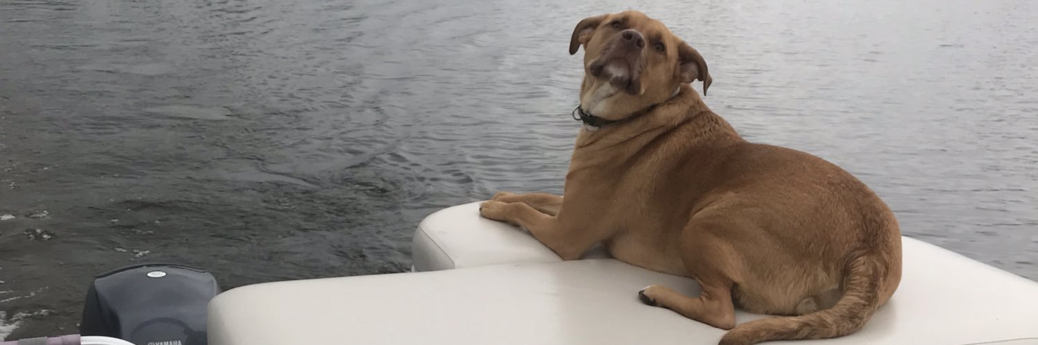 Maddy_Johnson_'s profile banner image