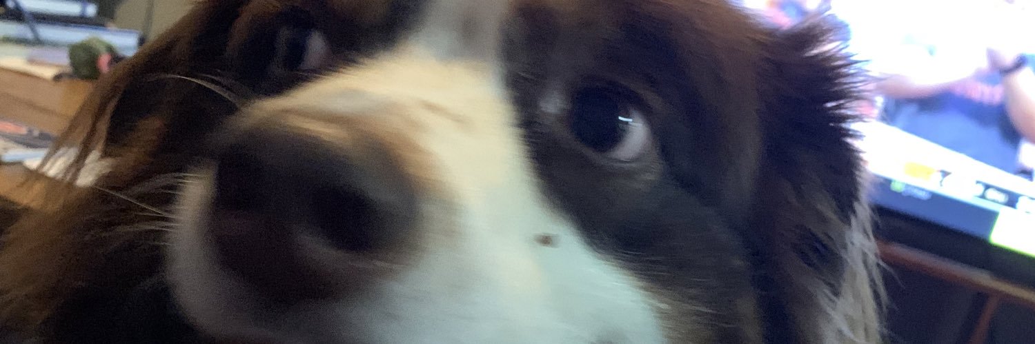 Edward_The_Red's profile banner image