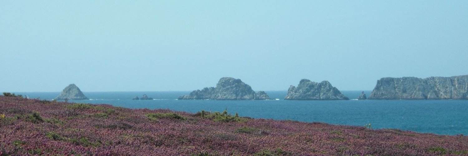 Christine Genin banner