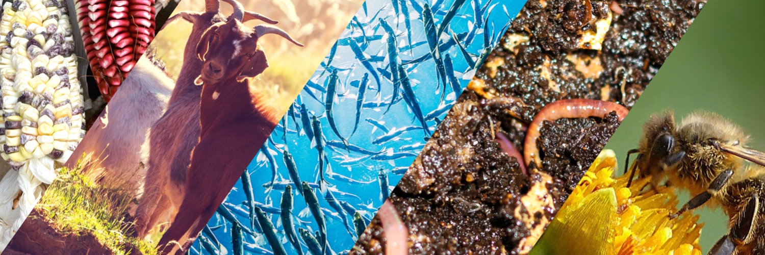 agbiodiversity's profile banner image