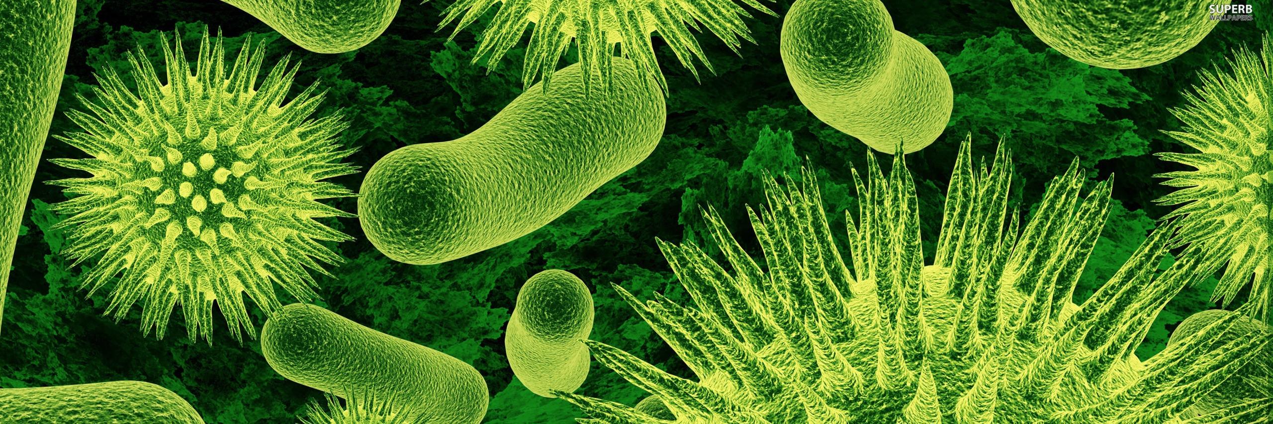 goodgerms's profile banner image
