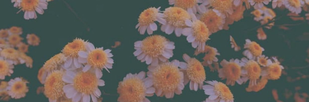 asloversgo_'s profile banner image