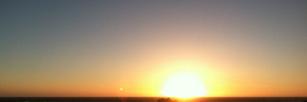 DonDarwin Profile Banner