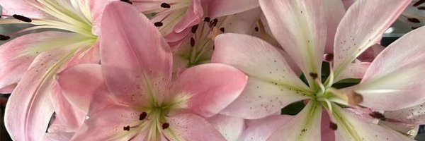 suprvive Profile Banner