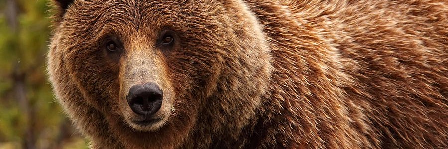 F_Fargnier's profile banner image