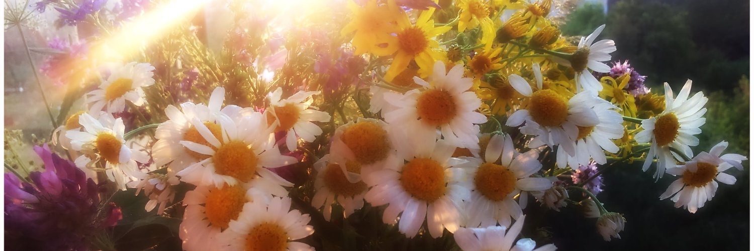 PhotoApostol's profile banner image
