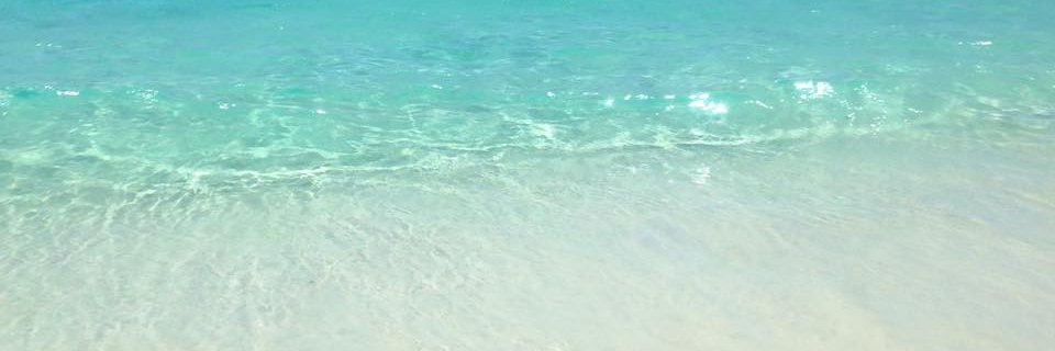 monicafontes's profile banner image