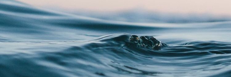 Lucy 💙🌊 banner