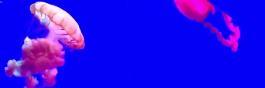 MarioGonzalez97's profile banner image