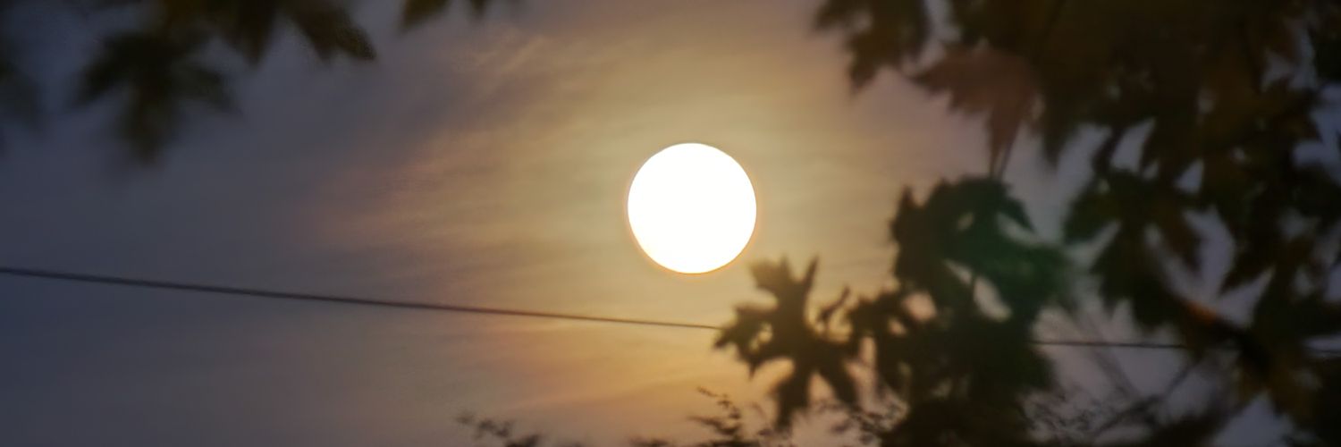 Definite_Dweeb's profile banner image