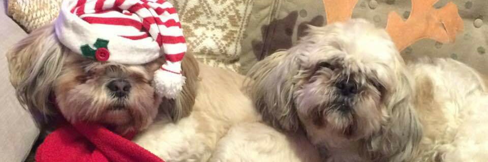 Micro Machine banner